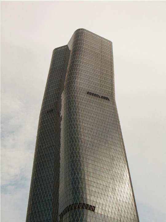Vadovas